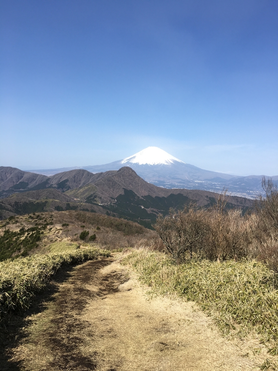 f:id:kobitoku:20200323193502j:plain f:id:kobitoku:20200323193502j:plain