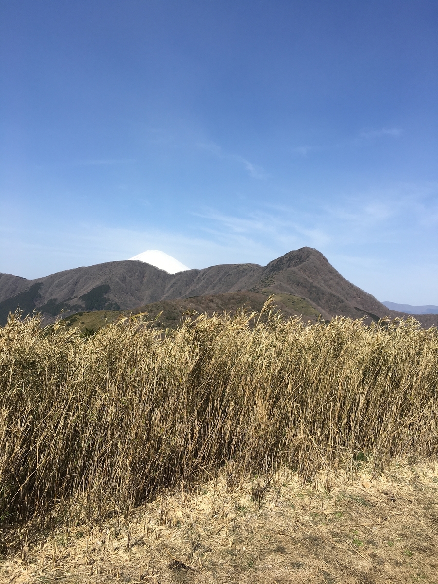 f:id:kobitoku:20200323193654j:plain f:id:kobitoku:20200323193654j:plain