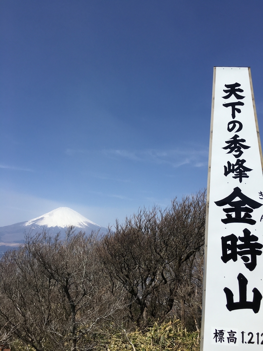 f:id:kobitoku:20200323193934j:plain f:id:kobitoku:20200323193934j:plain