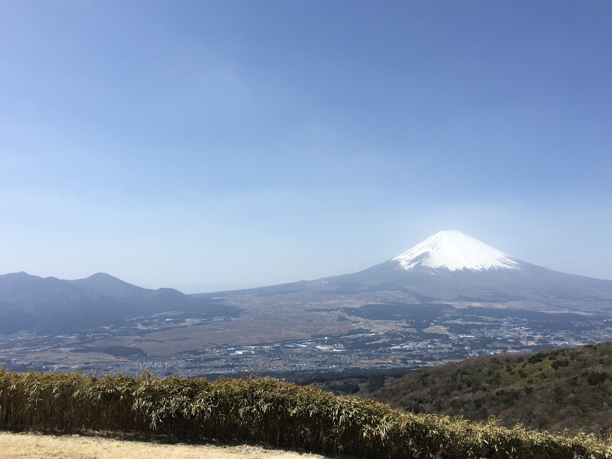 f:id:kobitoku:20200323194147j:plain f:id:kobitoku:20200323194147j:plain