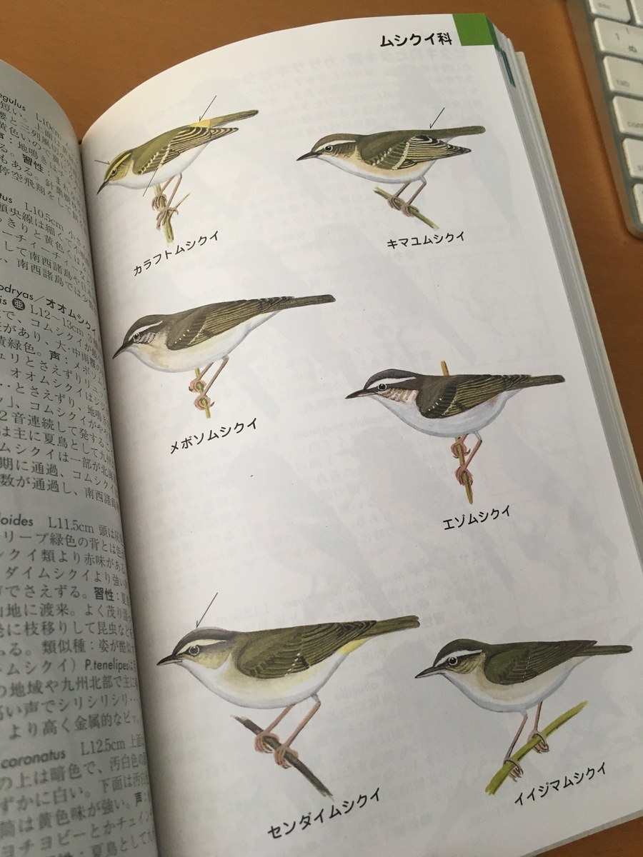 f:id:kobitoku:20200915070113j:plain f:id:kobitoku:20200915070113j:plain