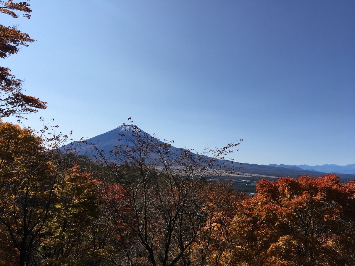 f:id:kobitoku:20201103074324j:plain f:id:kobitoku:20201103074324j:plain