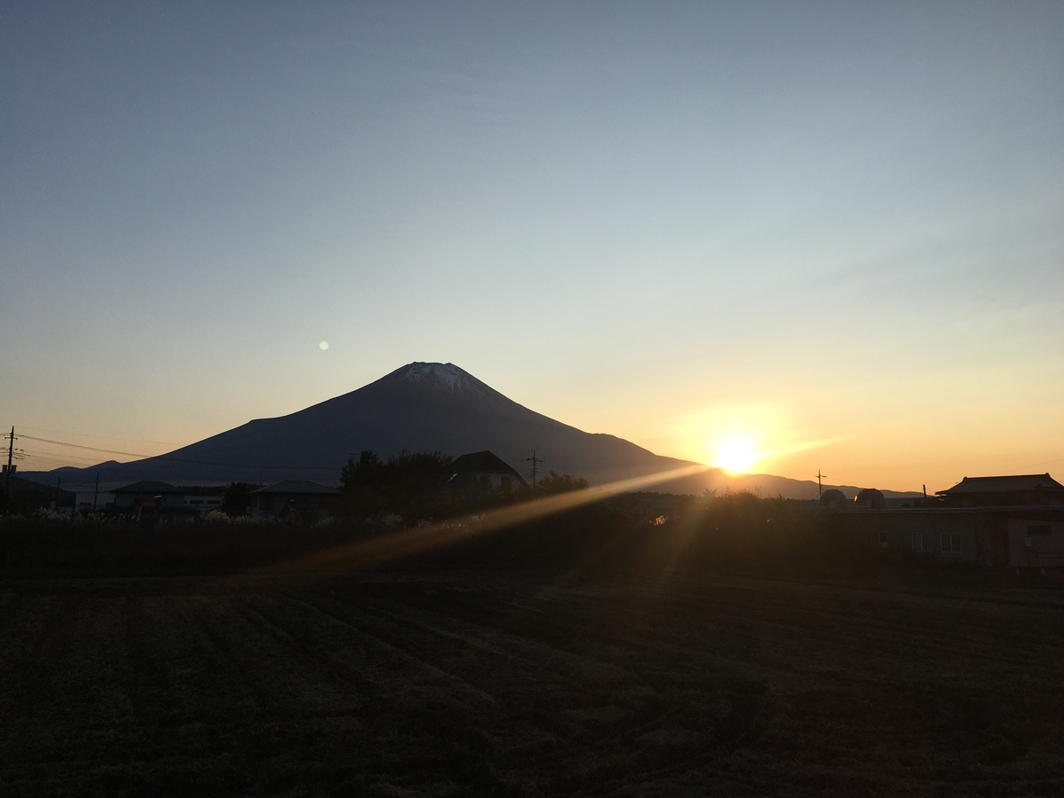 f:id:kobitoku:20201103074535j:plain f:id:kobitoku:20201103074535j:plain