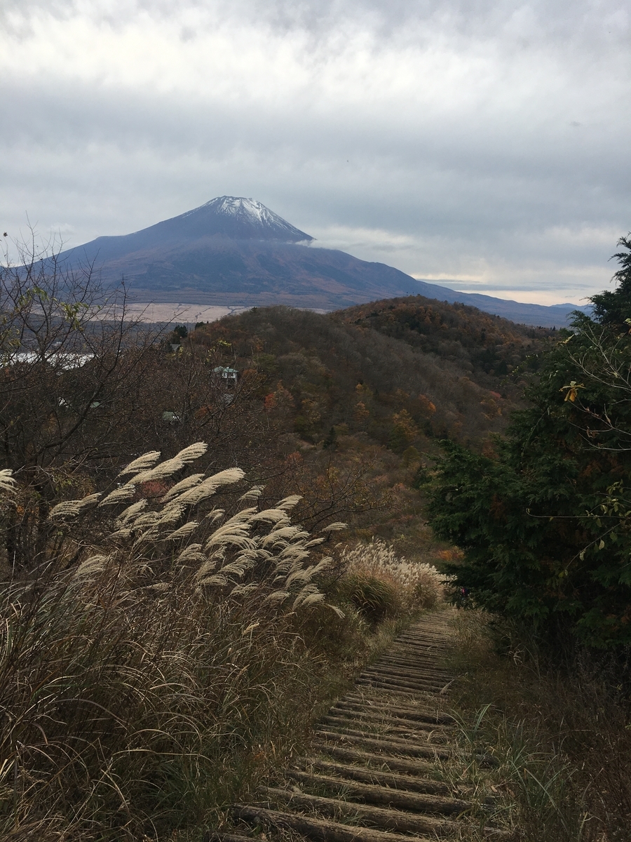 f:id:kobitoku:20201103083158j:plain f:id:kobitoku:20201103083158j:plain