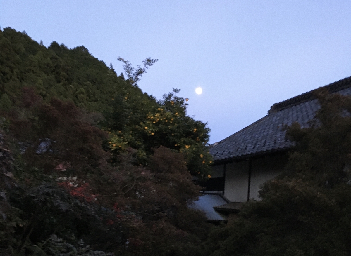 f:id:kobitoku:20201130081014j:plain