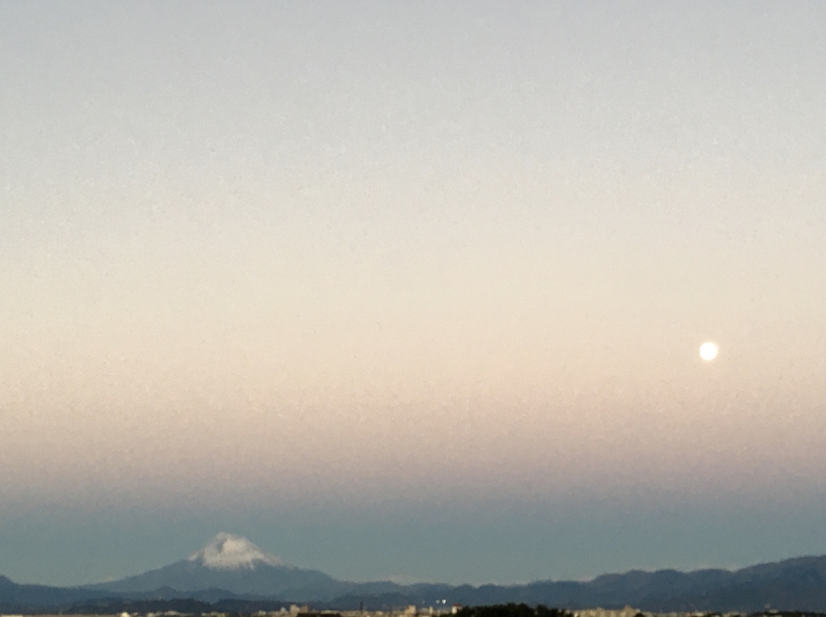 f:id:kobitoku:20201231215901j:plain