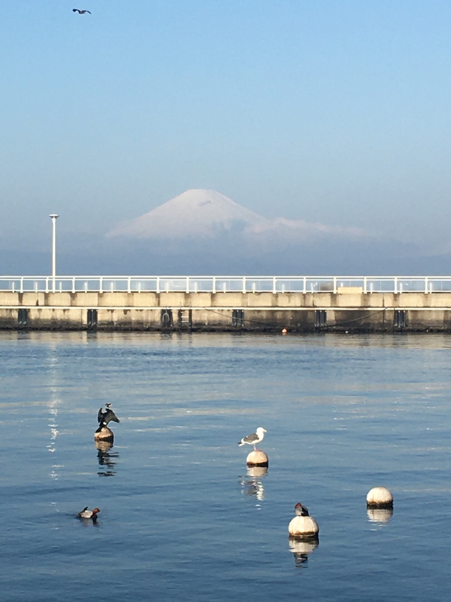f:id:kobitoku:20210102212706j:plain