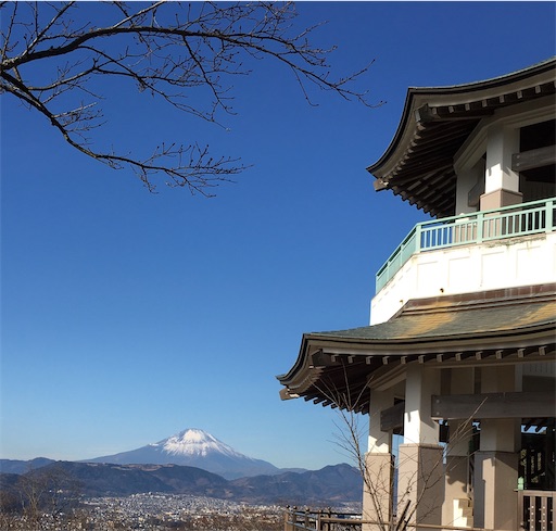 f:id:kobitoku:20210105071637j:image f:id:kobitoku:20210105071637j:image