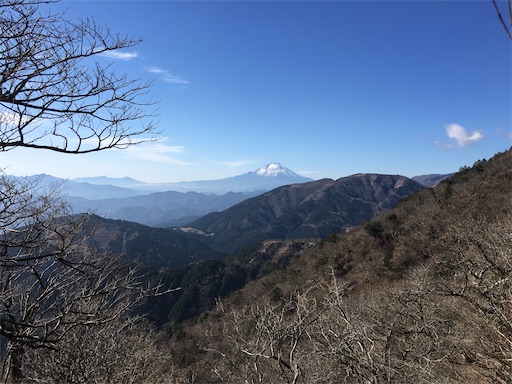f:id:kobitoku:20210105071722j:image f:id:kobitoku:20210105071722j:image
