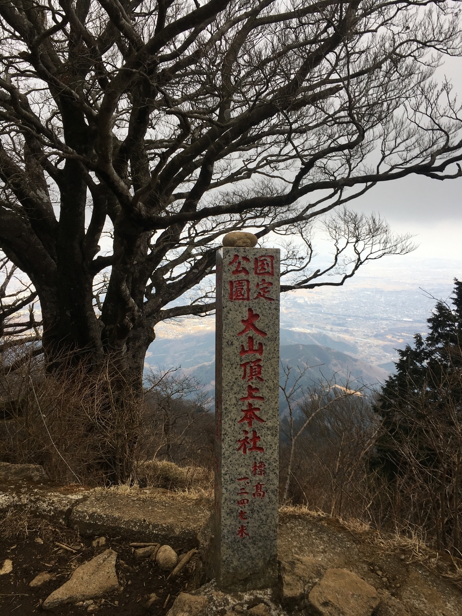 f:id:kobitoku:20210216074958j:plain