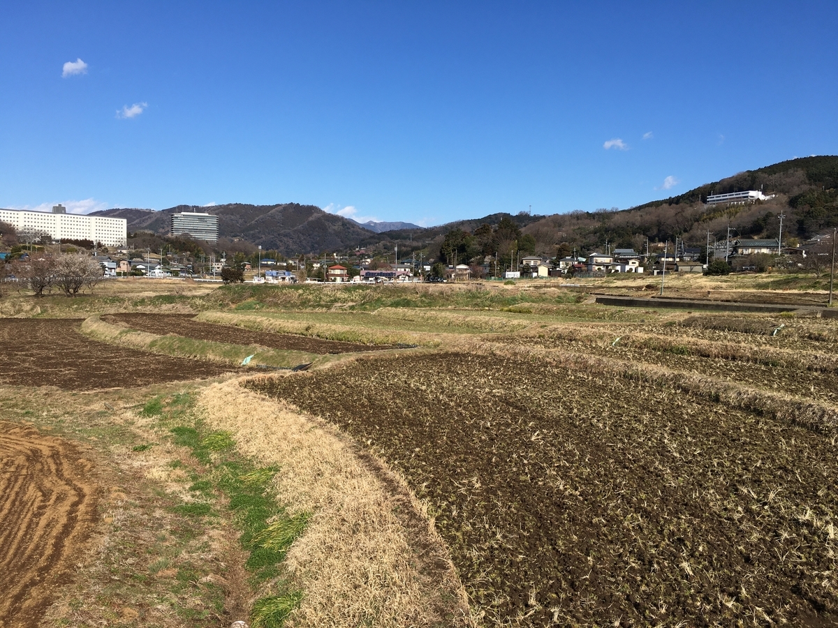 f:id:kobitoku:20210218185916j:plain