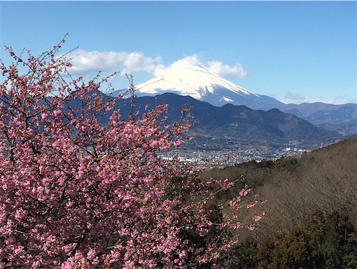 f:id:kobitoku:20210219063335j:image f:id:kobitoku:20210219063335j:image