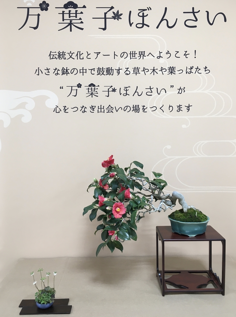 f:id:kobitoku:20210301065646j:plain