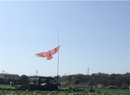 f:id:kobitoku:20210319070514j:image f:id:kobitoku:20210319070514j:image