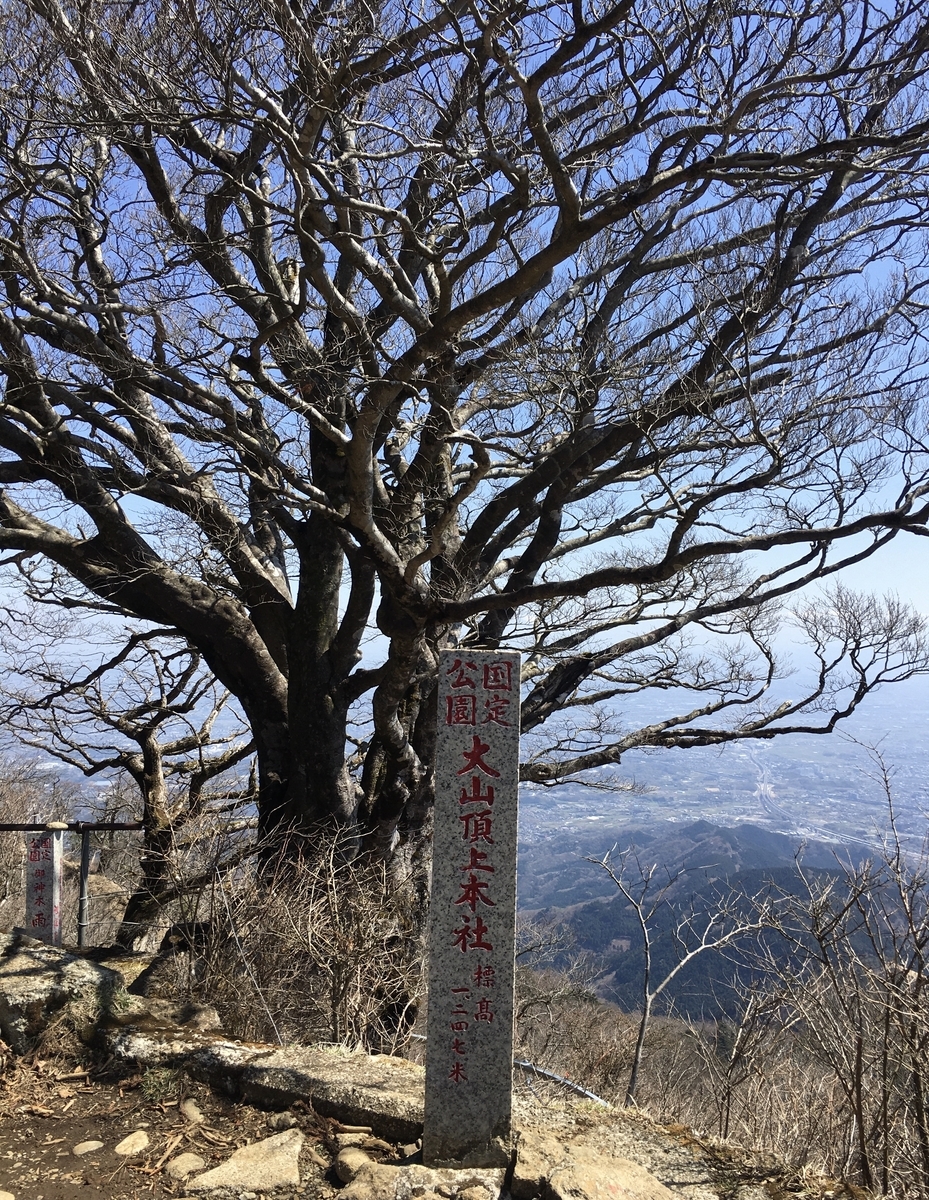 f:id:kobitoku:20210328095314j:plain