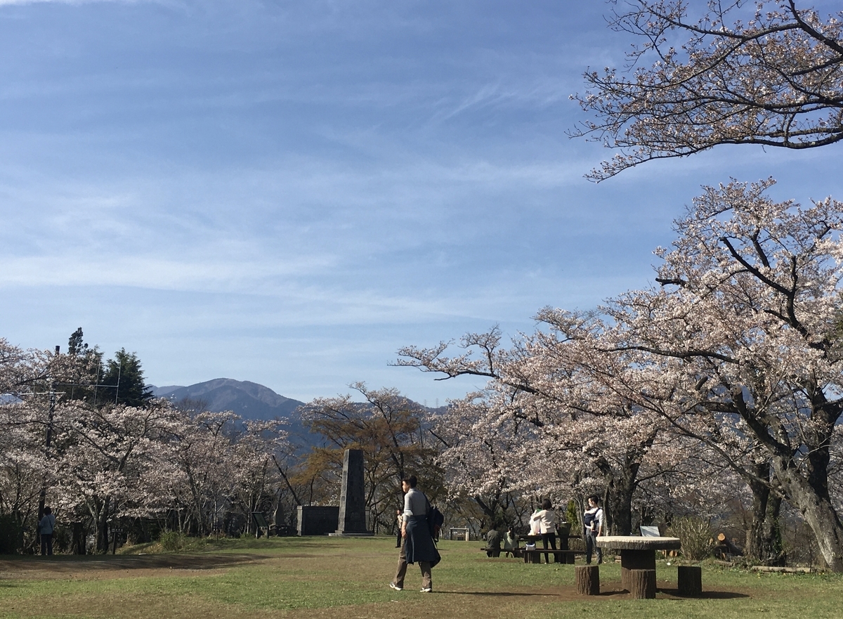 f:id:kobitoku:20210328095638j:plain