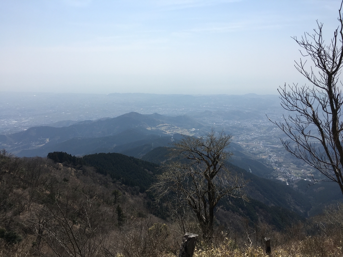f:id:kobitoku:20210328205852j:plain