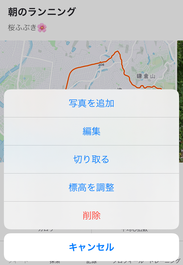 f:id:kobitoku:20210401074218j:plain