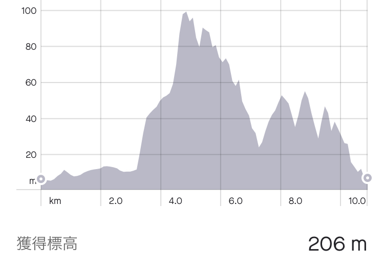 f:id:kobitoku:20210401075418j:plain
