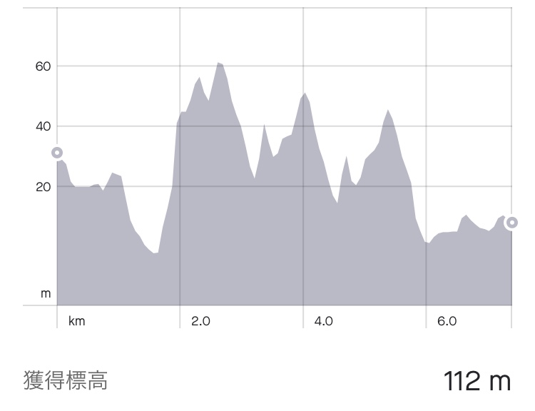 f:id:kobitoku:20210401075701j:plain