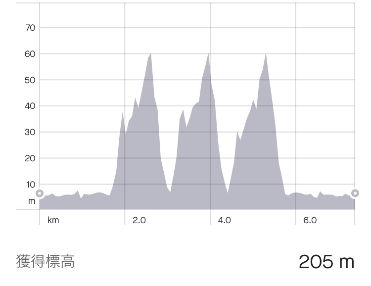 f:id:kobitoku:20210401075733j:plain