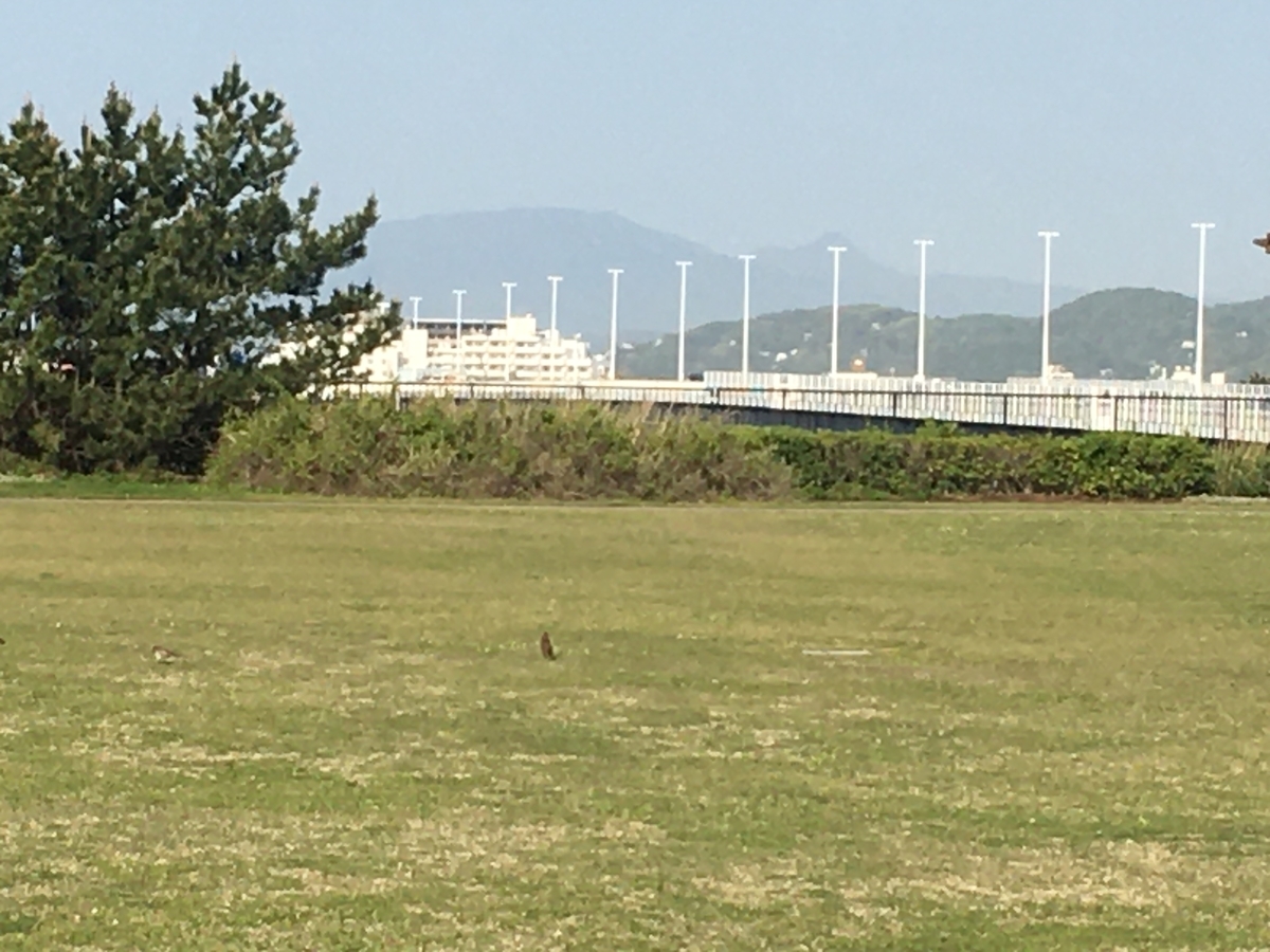 f:id:kobitoku:20210427075456j:plain