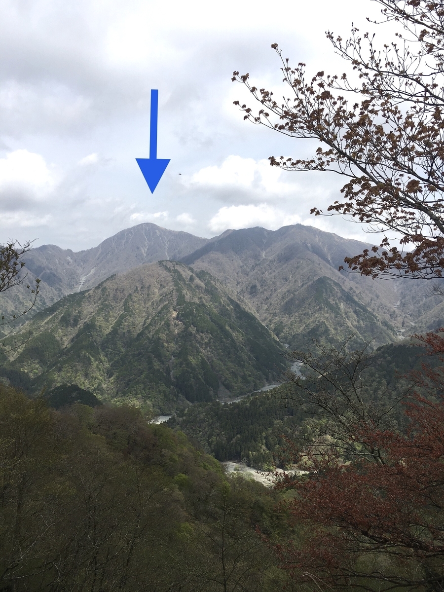 f:id:kobitoku:20210503064824j:plain