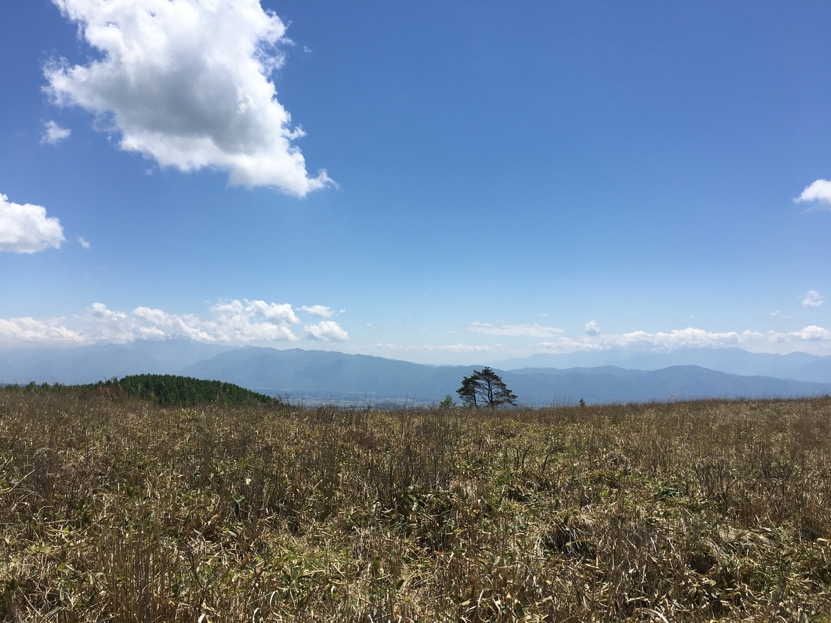 f:id:kobitoku:20210602200522j:plain
