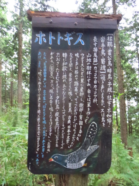 f:id:kobitoku:20210613111326j:plain