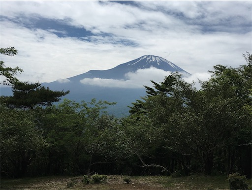 f:id:kobitoku:20210614075432j:image f:id:kobitoku:20210614075432j:image