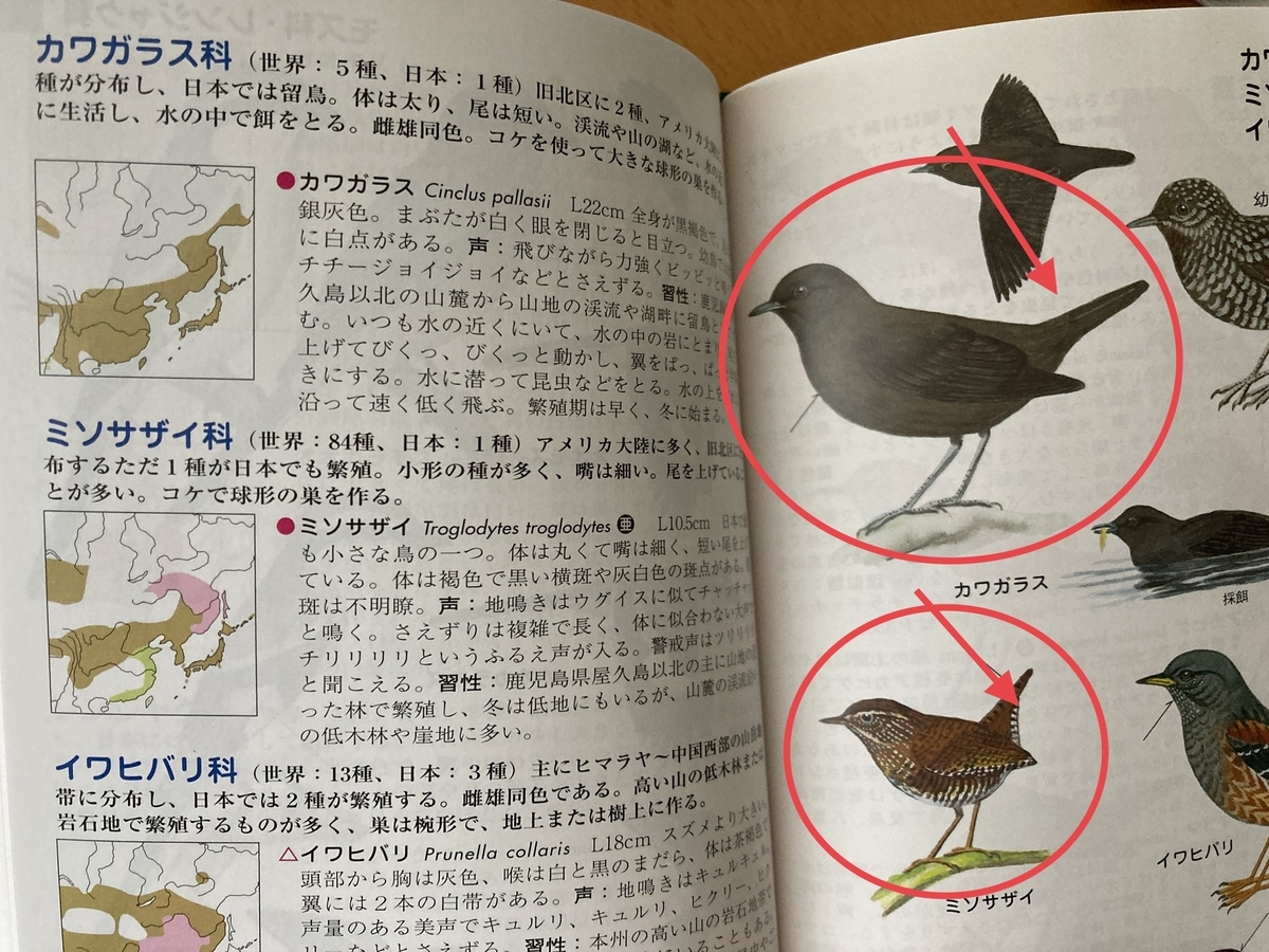 f:id:kobitoku:20211028074818j:plain