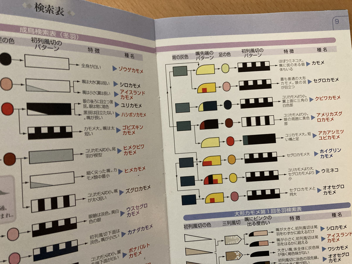 f:id:kobitoku:20220120073237j:plain