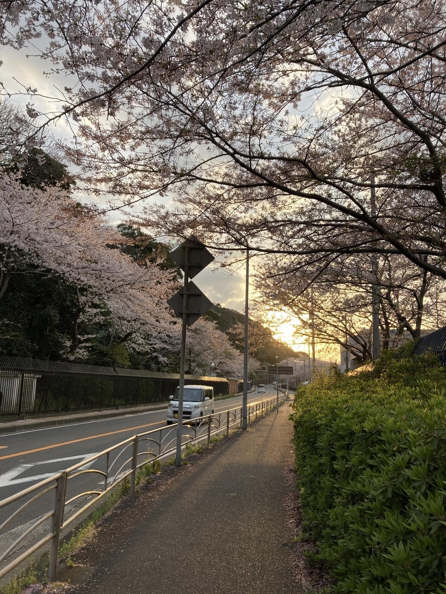 f:id:kobitoku:20220404085412j:plain