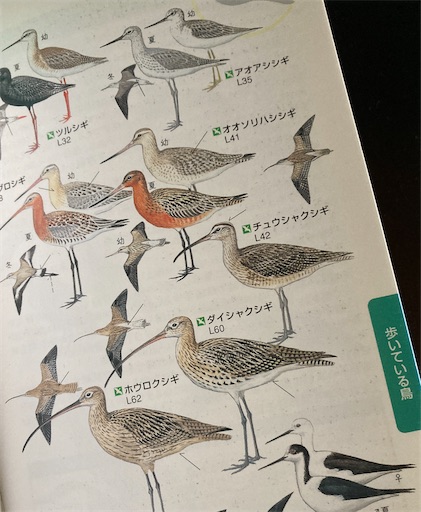 f:id:kobitoku:20220512071839j:image f:id:kobitoku:20220512071839j:image