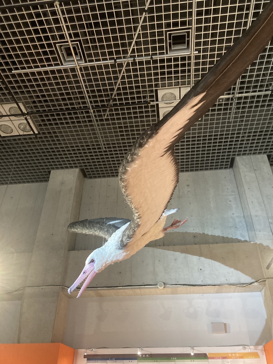 鳥展 - こびとく日誌