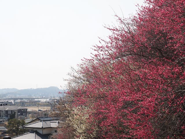 f:id:kobiyama:20170306234413j:plain f:id:kobiyama:20170306234413j:plain