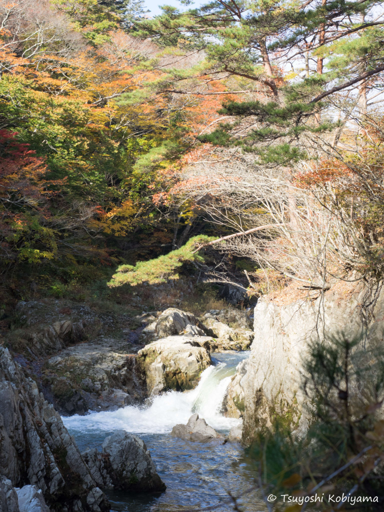f:id:kobiyama:20171112091525j:plain