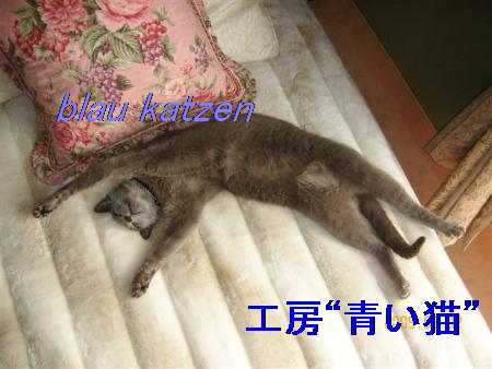 f:id:koboaoineko:20170113111928j:plain