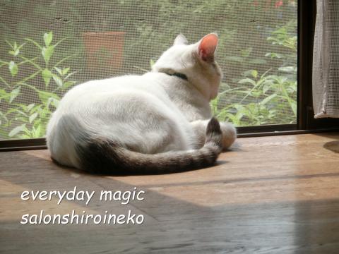 f:id:koboaoineko:20170805142948j:plain f:id:koboaoineko:20170805142948j:plain