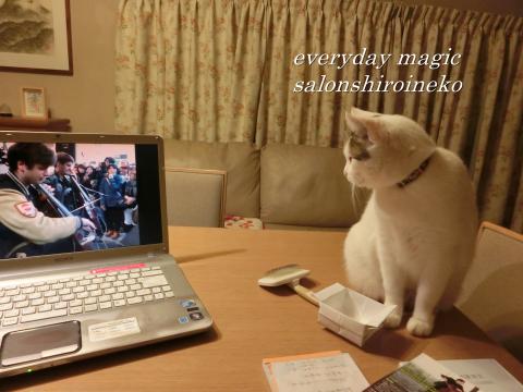 f:id:koboaoineko:20180907185453j:plain f:id:koboaoineko:20180907185453j:plain