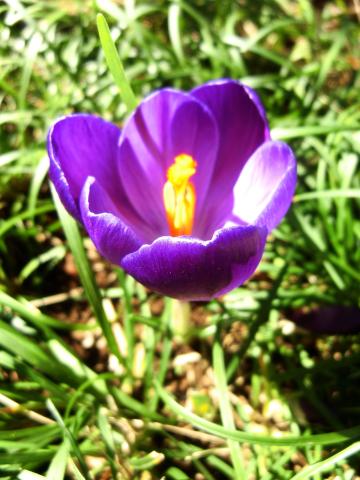 f:id:koboaoineko:20200227122444j:plain f:id:koboaoineko:20200227122444j:plain