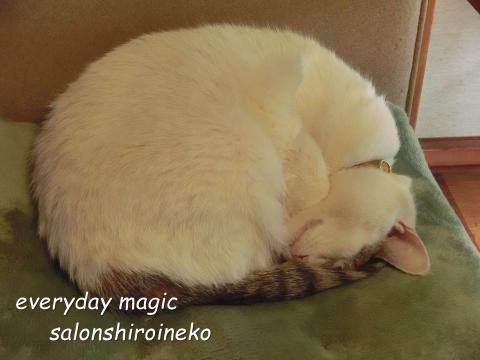 f:id:koboaoineko:20211208131047j:plain