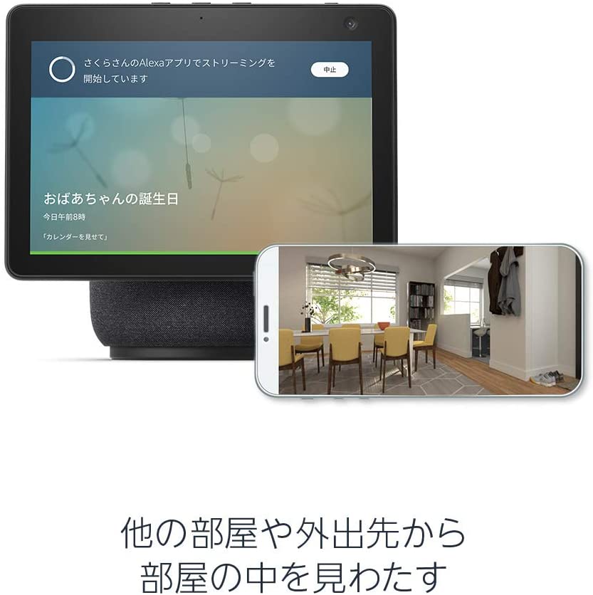 f:id:kobonemi:20210317235108j:plain