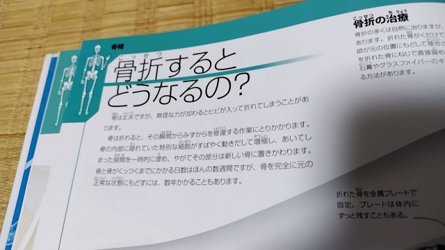 f:id:koboshino:20240613233226j:image f:id:koboshino:20240613233226j:image