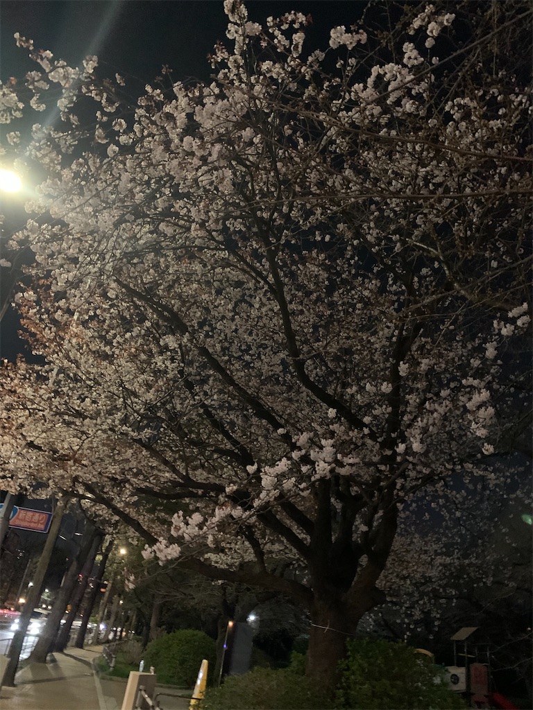 f:id:kobu-chan:20210315221354j:image f:id:kobu-chan:20210315221354j:image