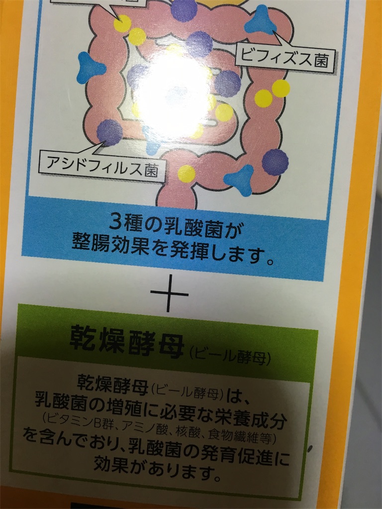 f:id:kobu-heihei:20190403135818j:image