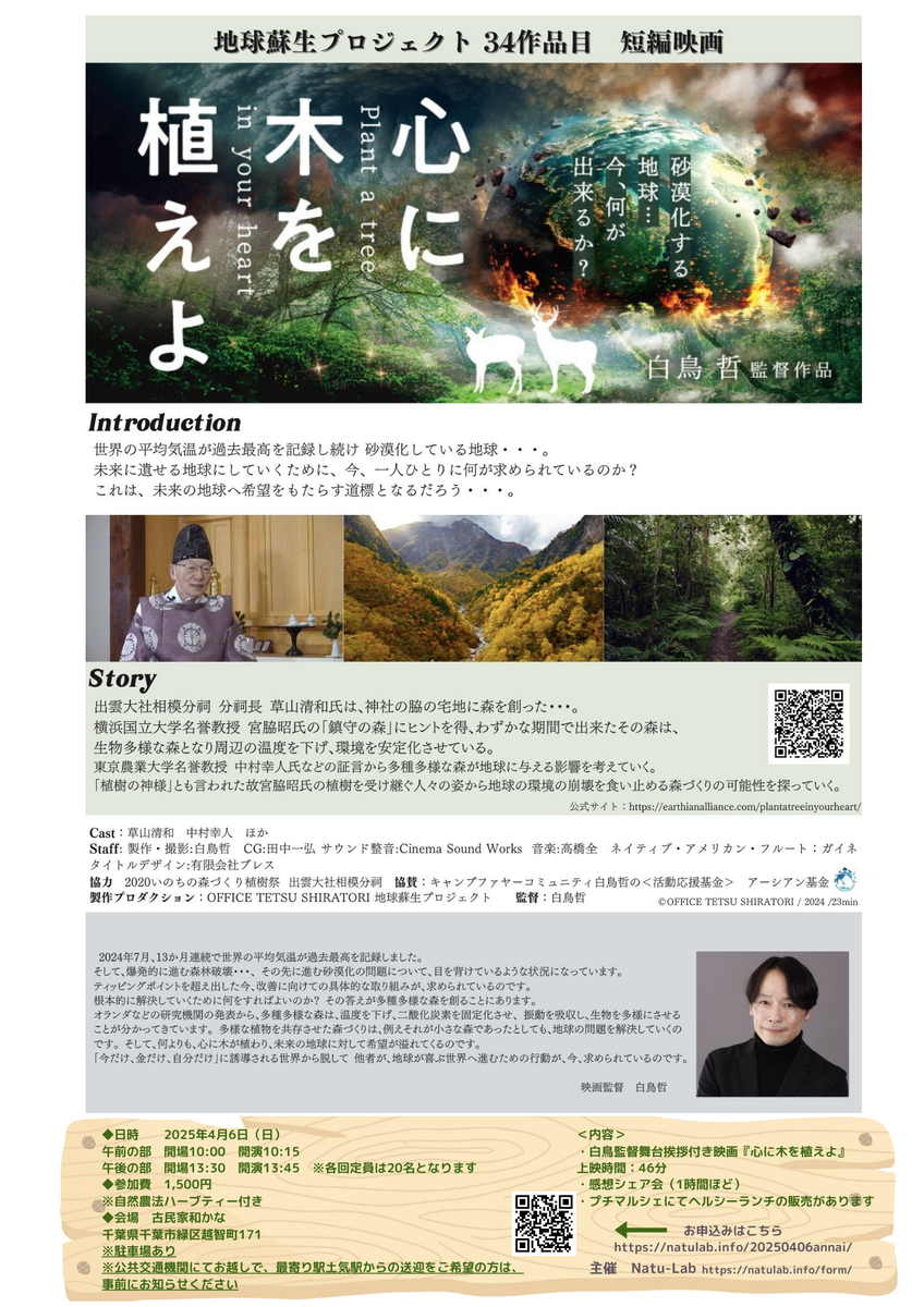 チラシ
