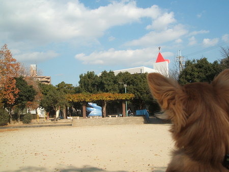個別 大阪府吹田市 山田西第２公園 まきふん公園 の写真 画像 こんぶとおでかけ Kobuhaha S Fotolife