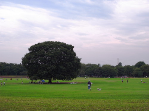 f:id:kobumakidays:20090712123604j:image