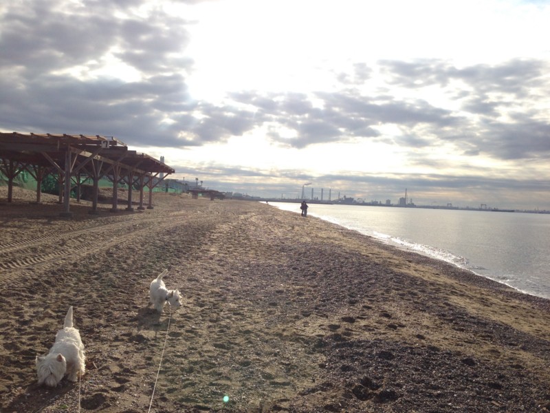 f:id:kobumakidays:20131208084630j:image